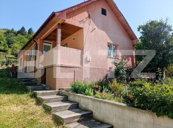 Casa de vânzare 2 camere Suceagu - 199779CV | BLITZ Cluj-Napoca | Poza1