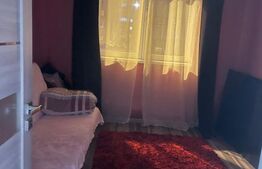 Apartament de vanzare, 2 camere, 54 mp - Feldioara.