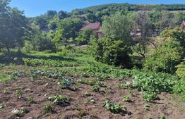 Casa locuibila 74 mp ,cu gradina de 1000mp, Cara