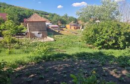 Casa locuibila 74 mp ,cu gradina de 1000mp, Cara