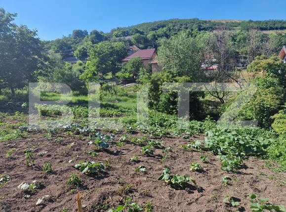 Casa de vânzare 2 camere Cara - 199878CV | BLITZ Cluj-Napoca | Poza8