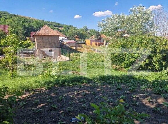 Casa de vânzare 2 camere Cara - 199878CV | BLITZ Cluj-Napoca | Poza9