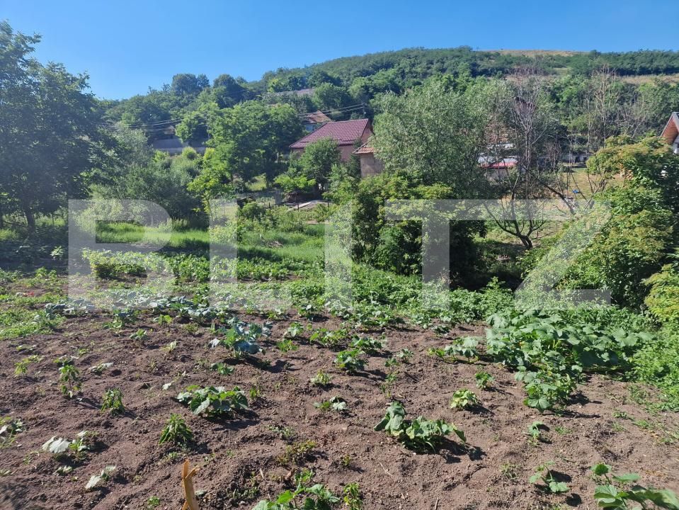 Casa de vânzare 2 camere Cara - 199878CV | BLITZ Cluj-Napoca | Poza8