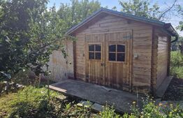 Casa de vanzare, 3 camere,  gradina 1000 mp - Camarasu