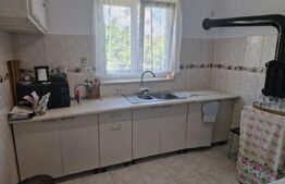 Casa de vanzare, 3 camere,  gradina 1000 mp - Camarasu