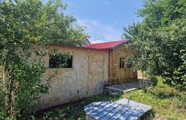 Casa de vanzare, 3 camere,  gradina 1000 mp - Camarasu