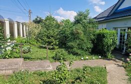 Casa de vanzare, 3 camere,  gradina 1000 mp - Camarasu