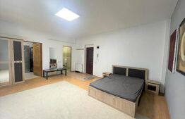 Apartament 1 camera, 40 mp, pet friendly, zona Leroy Merlin 
