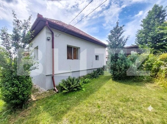 Casa de vânzare 4 camere Coruşu - 199920CV | BLITZ Cluj-Napoca | Poza3