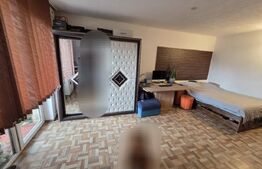 Apartament cu o camera, 34 mp, parcare inclusa in pret, zona Florilor