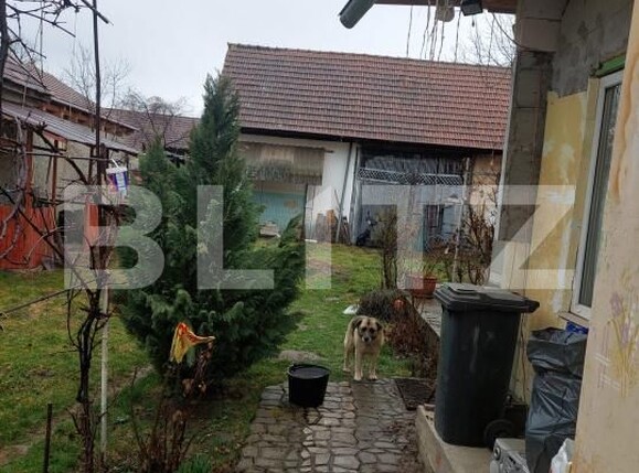 Casa de vânzare 3 camere Făgăraş - 199925CV | BLITZ Brașov | Poza3