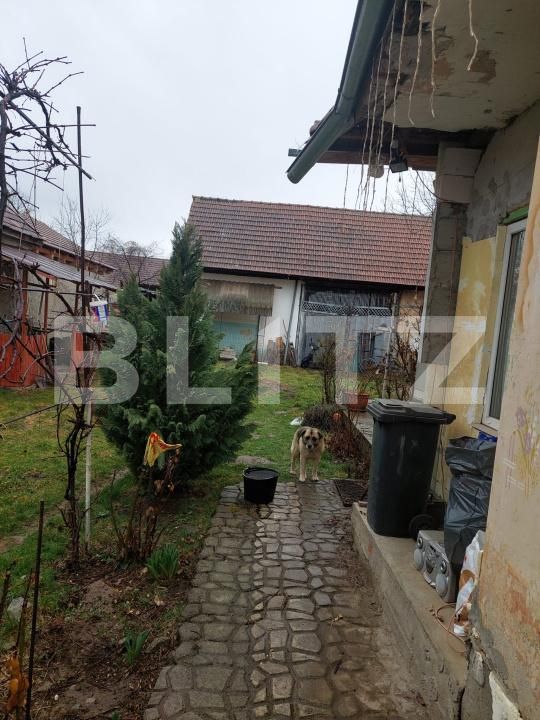 Casa de vânzare 3 camere Făgăraş - 199925CV | BLITZ Brașov | Poza3