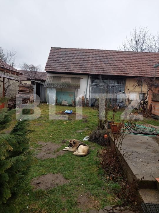 Casa de vânzare 3 camere Făgăraş - 199925CV | BLITZ Brașov | Poza10