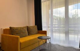 Studio Premium de Inchiriat - zona centrala Poiana Brasov/Ideal Vacanta 