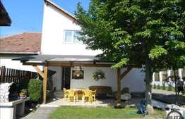 Casa de vanzare, 180 mp, 481 mp teren, complet mobilata, zona gradinii botanice