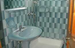 Inchiriere casa in zona Gradinii Botanice, 5 camere, 170 mp utili, terasa 30 mp!