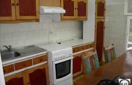 Inchiriere casa in zona Gradinii Botanice, 5 camere, 170 mp utili, terasa 30 mp!