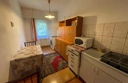 Garsoniera, decomandata, 42 mp,  pet friendly, Kaufland Manastur