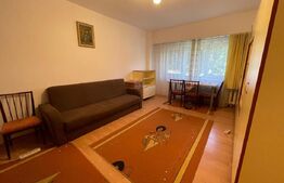 Garsoniera, decomandata, 42 mp,  pet friendly, Kaufland Manastur