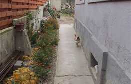 Casa demolabila/renovabila 90 mp utili, teren 500 mp, zona Gradinii Botanice!