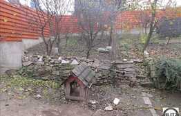 Casa demolabila/renovabila 90 mp utili, teren 500 mp, zona Gradinii Botanice!