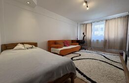 Apartament 1 camera, 40 mp, zona Calea Turzii 