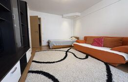 Apartament 1 camera, 40 mp, zona Calea Turzii 