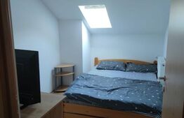 EXCLUSIVITATE! Cabană de vânzare în Valea Ierii – la doar o oră de Cluj-Napoca 