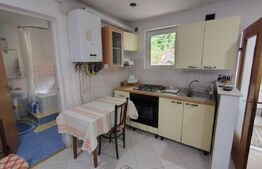 Casa individuala, 400 mp teren, in zona Plopilor