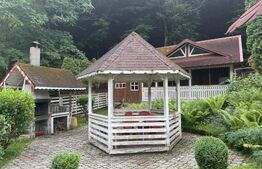 Cabana autentica de munte Frasinet - Baisoara 600 mp teren