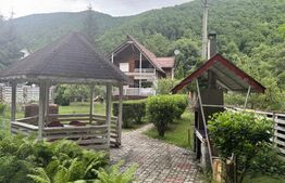 Cabana autentica de munte Frasinet - Baisoara 600 mp teren