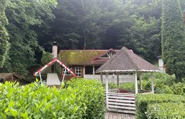 Cabana autentica de munte Frasinet - Baisoara 600 mp teren
