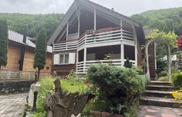 Cabana autentica de munte Frasinet - Baisoara 600 mp teren