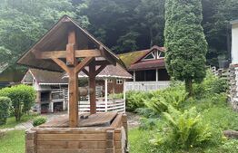 Cabana autentica de munte Frasinet - Baisoara 600 mp teren
