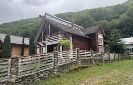 Cabana autentica de munte Frasinet - Baisoara 600 mp teren