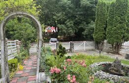Cabana autentica de munte Frasinet - Baisoara 600 mp teren