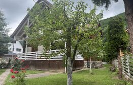 Cabana autentica de munte Frasinet - Baisoara 600 mp teren
