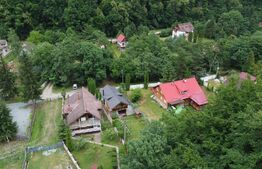 Cabana autentica de munte Frasinet - Baisoara 600 mp teren