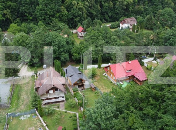 Casa de vânzare 7 camere Frasinet - 200081CV | BLITZ Cluj-Napoca | Poza6