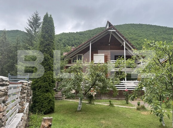 Casa de vânzare 7 camere Frasinet - 200081CV | BLITZ Cluj-Napoca | Poza10