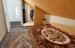 Casa familiala 140.5 mp, suprafata teren 1295 mp, Calarsi-Gara 