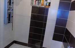 Casa 4 camere, 100 mp, terasa 15 mp, curte 90 mp, zona strazii Eugen Ionesco