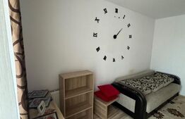 Apartament o cameră,  40 mp, decomandat, zona Porii