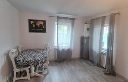 Casa individuala, optional 2 case si 1100 mp de teren, zona strazii Avram Iancu