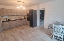 Casa individuala, optional 2 case si 1100 mp de teren, zona strazii Avram Iancu