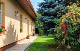 Casa alipita, 170 mp, 320 mp teren, zona Gheorgheni
