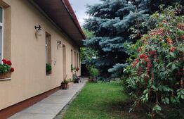 Casa individuala,calcan, 170 mp, 320 mp teren, zona Gheorgheni
