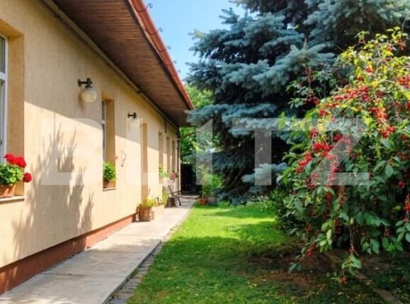 Casa de vânzare 5 camere Gheorgheni - 200177CV | BLITZ Cluj-Napoca | Poza6