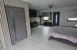 Casa individuala, posibilitate compartimentare in 4 camere, zona Avram Iancu