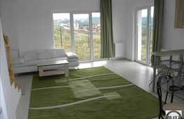 Casa individuala, 4 camere, 170 mp, imobil nou, terasa 50 mp, zona linistita!